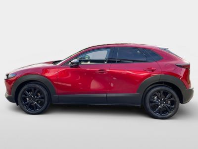 Mazda CX-30 Tageszulassung Mazda CX-30 Tageszulassung