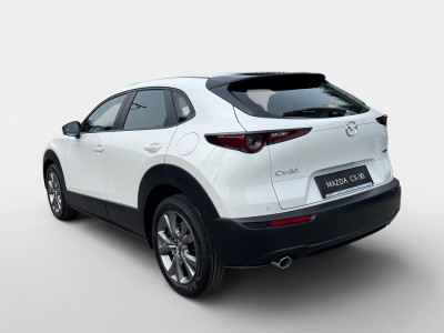 Mazda CX-30 Neuwagen Mazda CX-30 Neuwagen