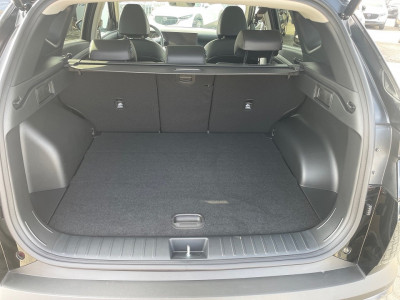 Hyundai Tucson Tageszulassung