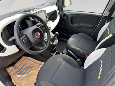 Fiat Panda Gebrauchtwagen