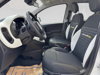 Fiat Panda Gebrauchtwagen