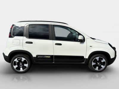 Fiat Panda Gebrauchtwagen