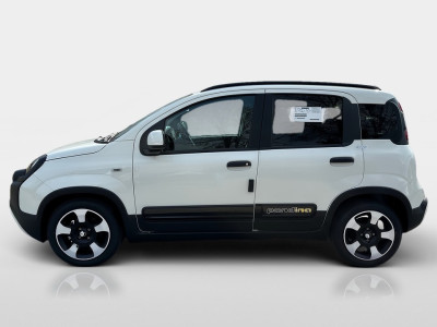 Fiat Panda Gebrauchtwagen