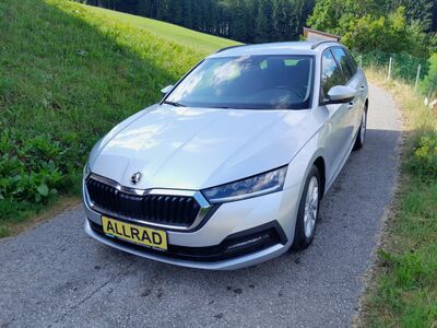 Skoda Octavia Gebrauchtwagen