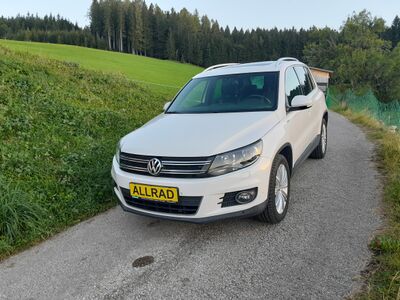 VW Tiguan Gebrauchtwagen