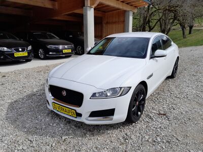 Jaguar XF Gebrauchtwagen