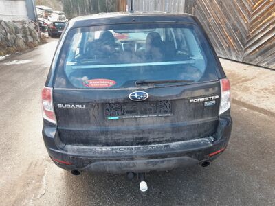 Subaru Forester Gebrauchtwagen