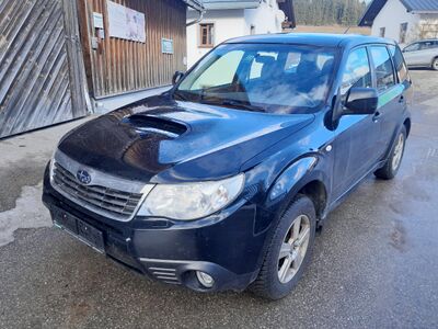 Subaru Forester Gebrauchtwagen Subaru Forester Gebrauchtwagen