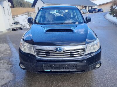 Subaru Forester Gebrauchtwagen Subaru Forester Gebrauchtwagen
