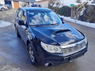 Subaru Forester Gebrauchtwagen Subaru Forester Gebrauchtwagen