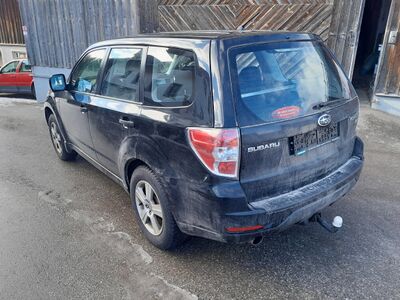 Subaru Forester Gebrauchtwagen Subaru Forester Gebrauchtwagen