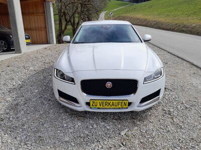 Jaguar XF Gebrauchtwagen