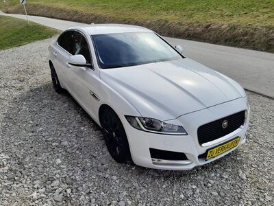 Jaguar XF Gebrauchtwagen