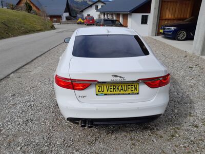 Jaguar XF Gebrauchtwagen