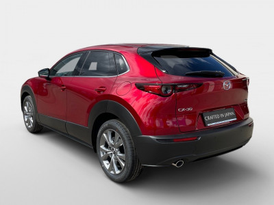 Mazda CX-30 Neuwagen Mazda CX-30 Neuwagen