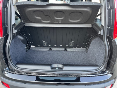 Fiat Pandina Gebrauchtwagen Fiat Pandina Gebrauchtwagen