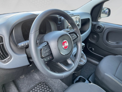 Fiat Pandina Gebrauchtwagen Fiat Pandina Gebrauchtwagen