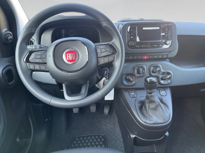 Fiat Pandina Gebrauchtwagen Fiat Pandina Gebrauchtwagen