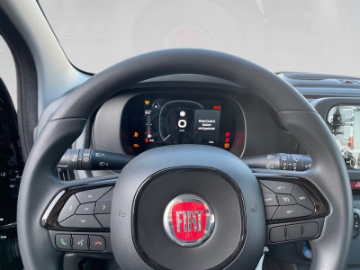 Fiat Pandina Gebrauchtwagen Fiat Pandina Gebrauchtwagen