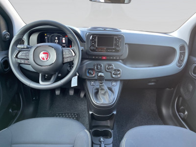 Fiat Pandina Gebrauchtwagen Fiat Pandina Gebrauchtwagen