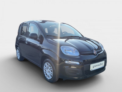 Fiat Pandina Gebrauchtwagen Fiat Pandina Gebrauchtwagen