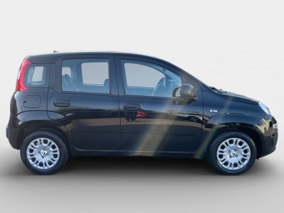 Fiat Pandina Gebrauchtwagen Fiat Pandina Gebrauchtwagen