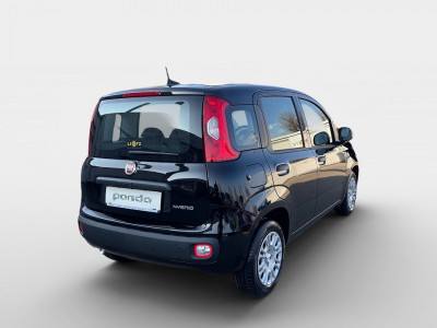 Fiat Pandina Gebrauchtwagen Fiat Pandina Gebrauchtwagen