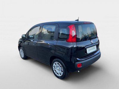 Fiat Pandina Gebrauchtwagen Fiat Pandina Gebrauchtwagen