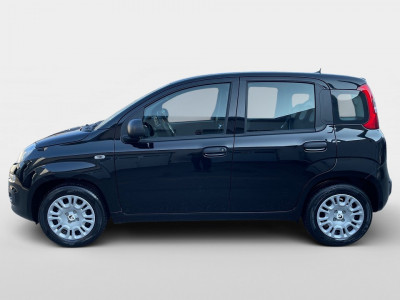 Fiat Pandina Gebrauchtwagen Fiat Pandina Gebrauchtwagen