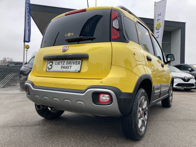 Fiat Panda Gebrauchtwagen Fiat Panda Gebrauchtwagen
