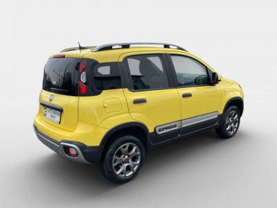 Fiat Panda Gebrauchtwagen Fiat Panda Gebrauchtwagen