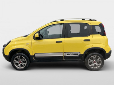 Fiat Panda Gebrauchtwagen Fiat Panda Gebrauchtwagen