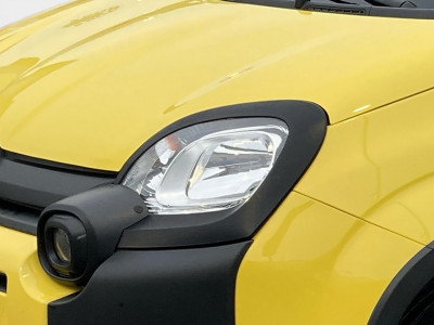 Fiat Panda Gebrauchtwagen Fiat Panda Gebrauchtwagen