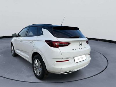 Opel Grandland X Vorführwagen