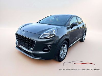 Ford Puma Gebrauchtwagen
