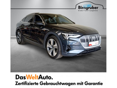 Audi Q8 e-tron Gebrauchtwagen