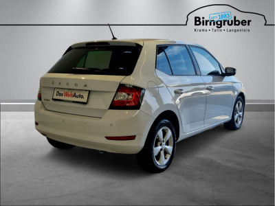 Skoda Fabia Gebrauchtwagen