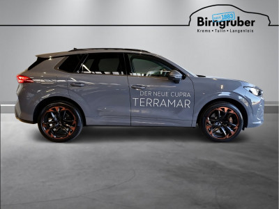 Cupra Terramar Gebrauchtwagen