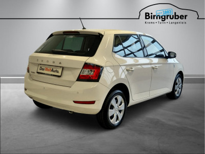 Skoda Fabia Gebrauchtwagen