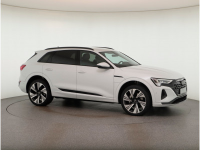 Audi Q8 e-tron Gebrauchtwagen