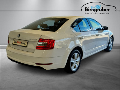 Skoda Octavia Gebrauchtwagen