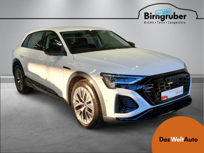 Audi Q8 e-tron Gebrauchtwagen