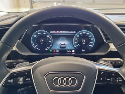 Audi Q8 e-tron Gebrauchtwagen