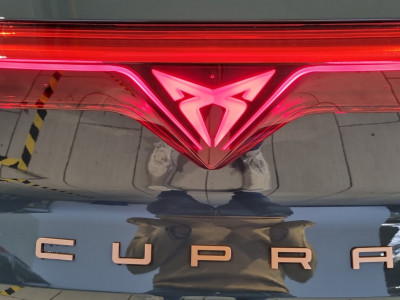 Cupra Terramar Gebrauchtwagen