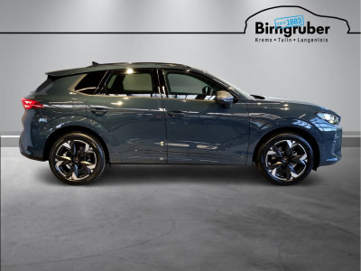 Cupra Terramar Gebrauchtwagen