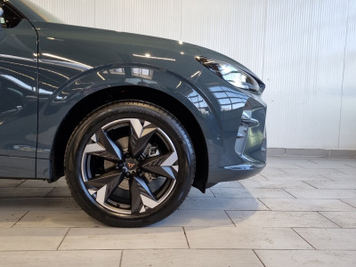 Cupra Terramar Gebrauchtwagen