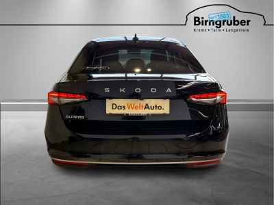 Skoda Superb Gebrauchtwagen