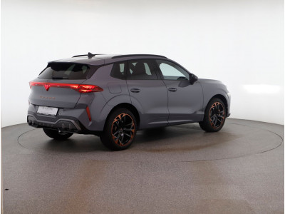 Cupra Terramar Gebrauchtwagen