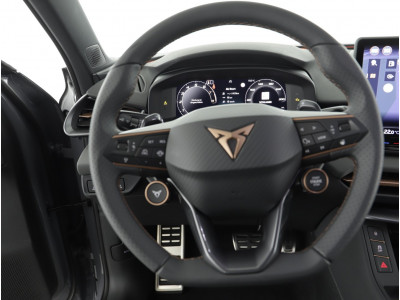 Cupra Terramar Gebrauchtwagen