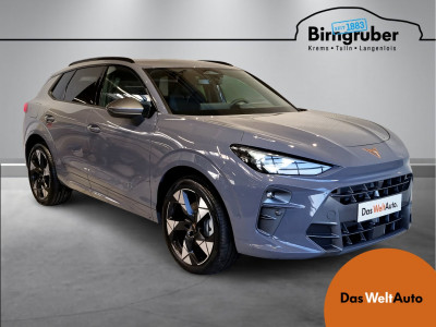 Cupra Terramar Gebrauchtwagen